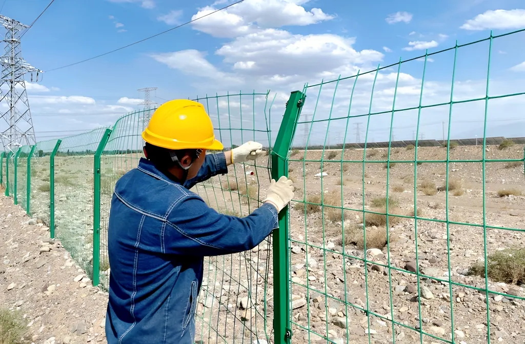 1726622569108942.jpg 7龍能.JPG