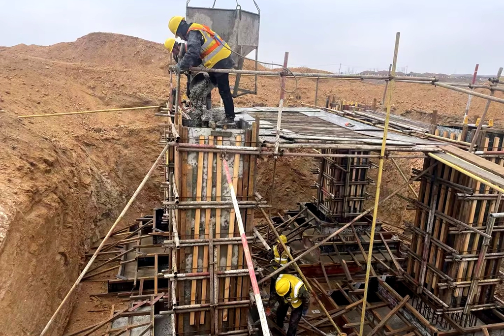 1772585731839154.jpg b91fc5c9494b25ddddcbc984909f4f8f(1).jpg